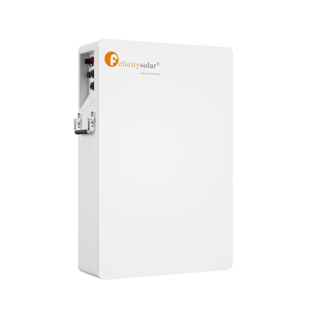 Felicity Solar LPBF48100-M 5kWh 51.2V LiFePO₄ Lithium Battery